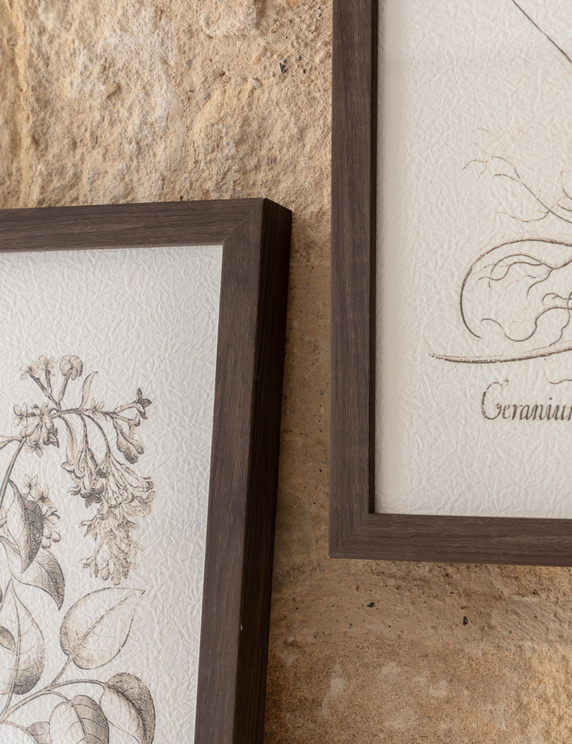 Gallery Direct set of 3 botanical framed prints, imported from the UK