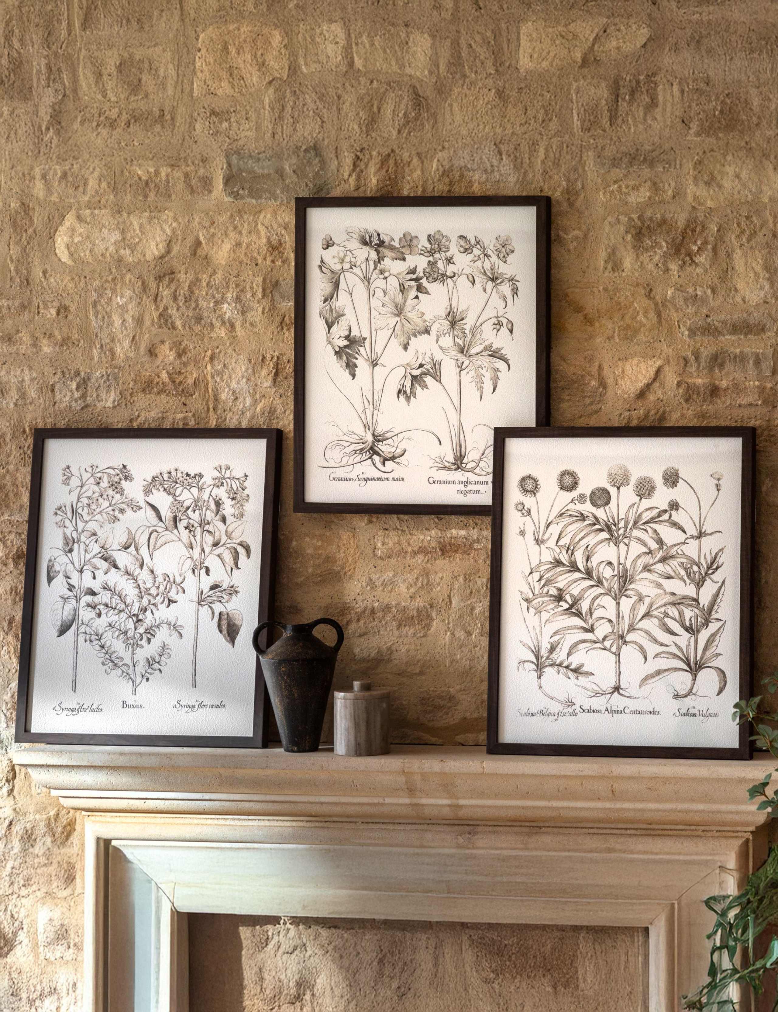 Gallery Direct set of 3 botanical framed prints, imported from the UK
