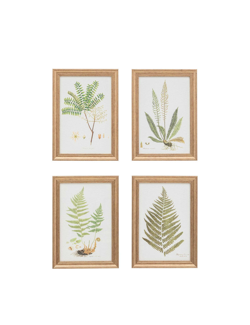 Gallery Direct assorted fern framed art set, imported from the UK
