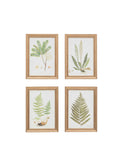 Gallery Direct assorted fern framed art set, imported from the UK