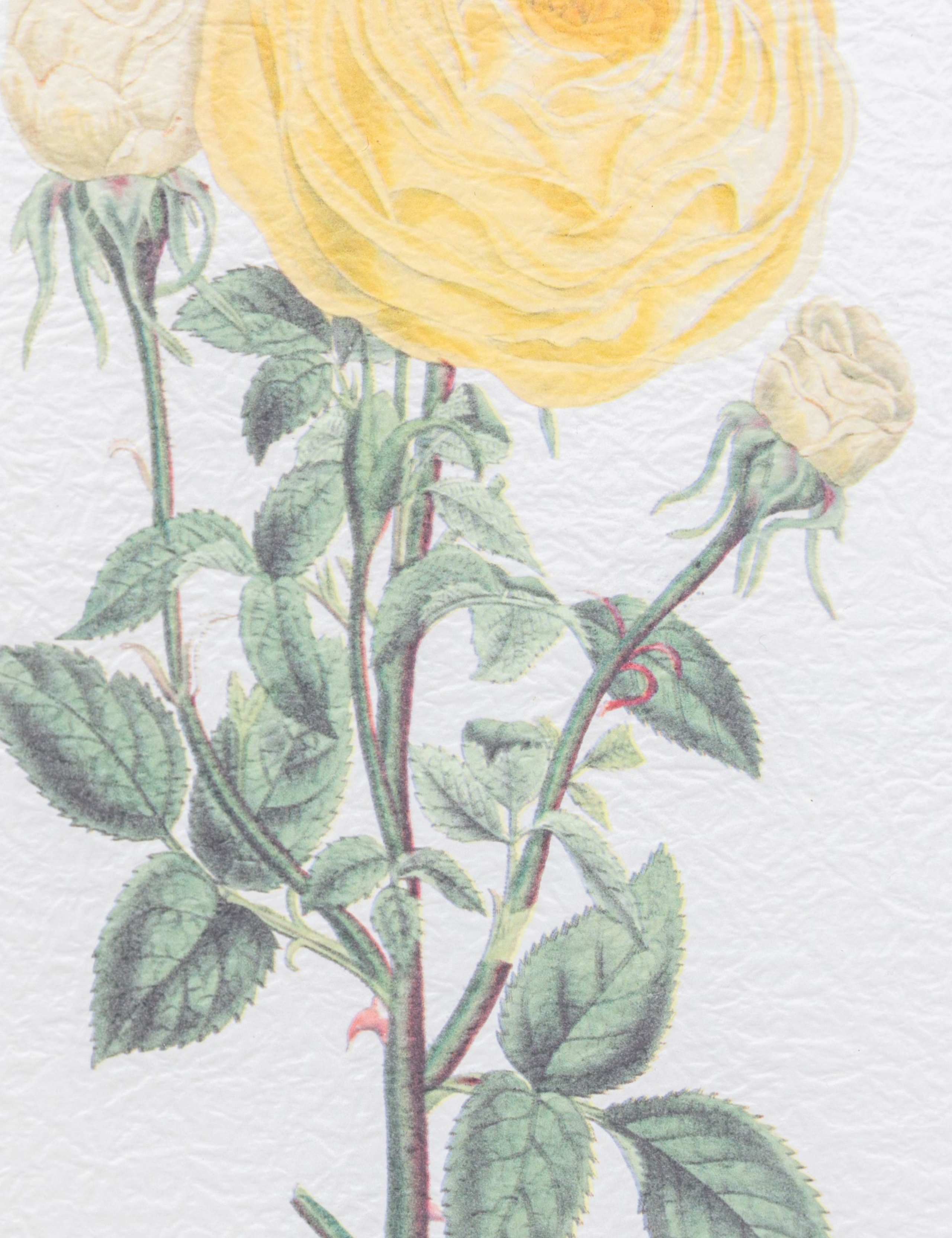 Gallery Direct floral framed art set, imported from the UK