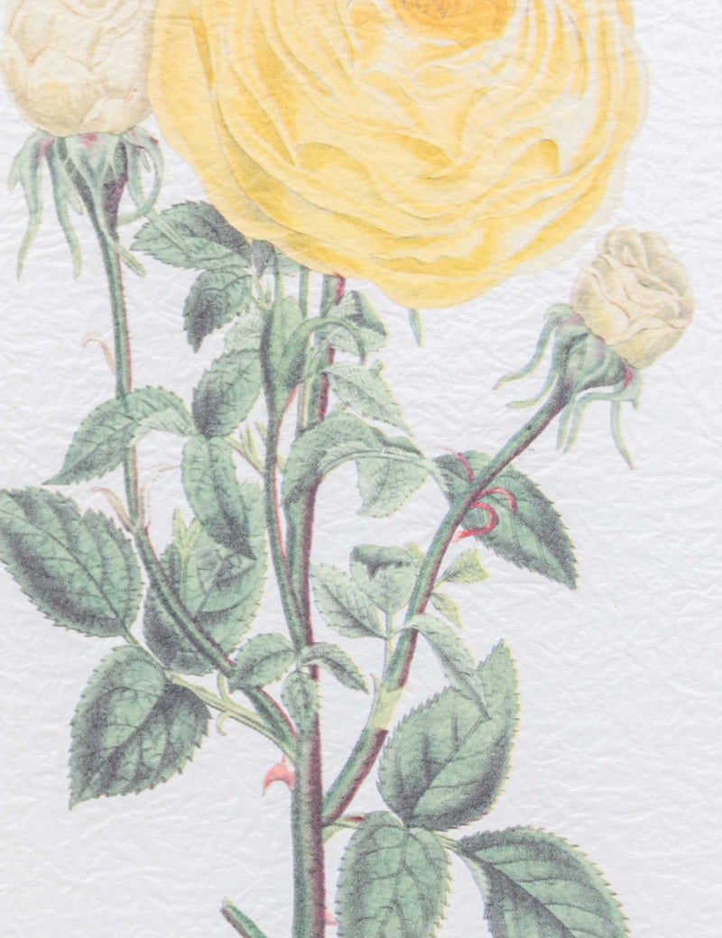 Gallery Direct floral framed art set, imported from the UK