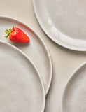 Set of 4 linen reactive picnic dinner plates (British brand)