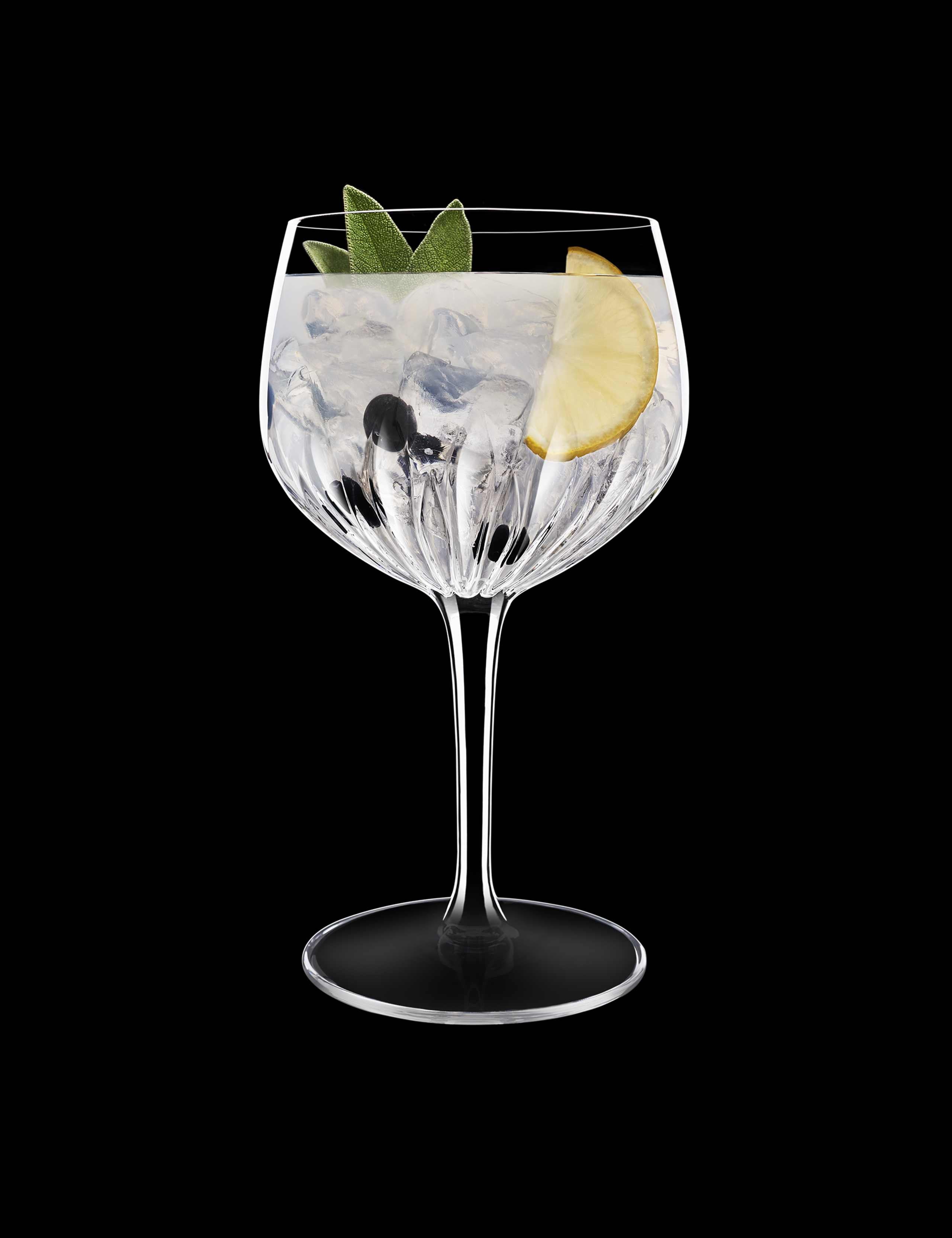 Set of 4 Mixology Spanish Gin Glasses