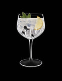 Set of 4 Mixology Spanish Gin Glasses