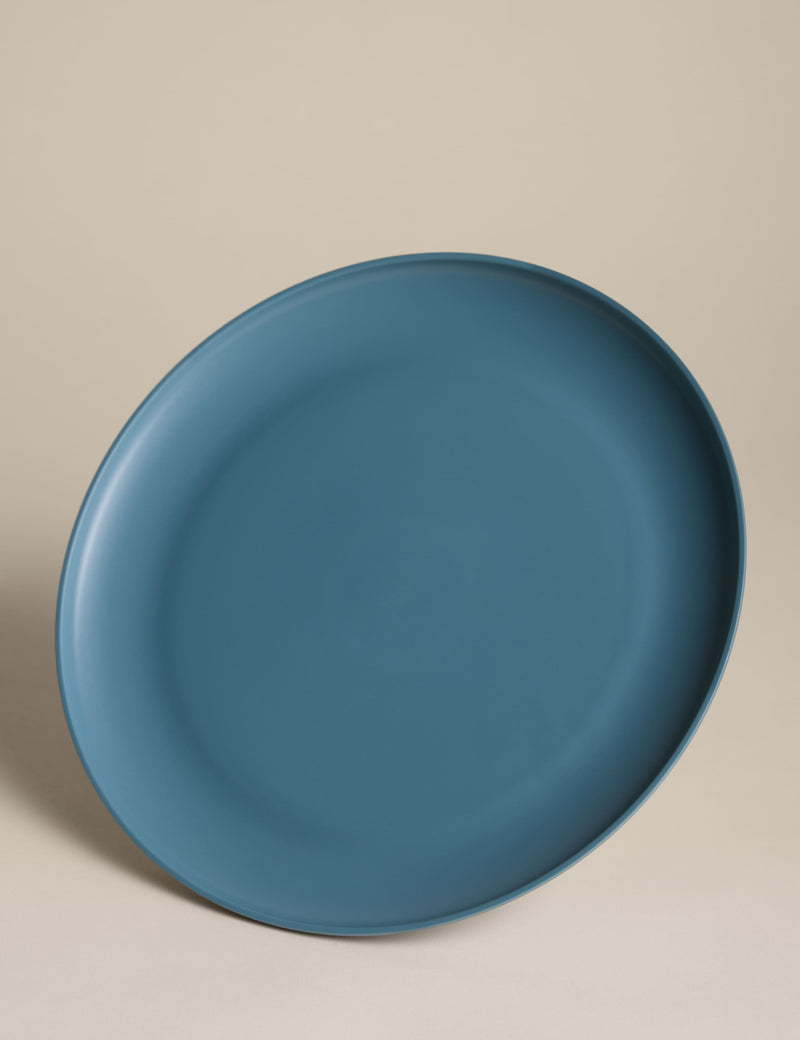 Plastic picnic dinner plates set of 4, imported from the UK