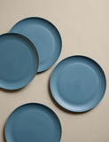 Plastic picnic dinner plates set of 4, imported from the UK