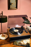 Lush vinyl album Set In Stone with USB - British product