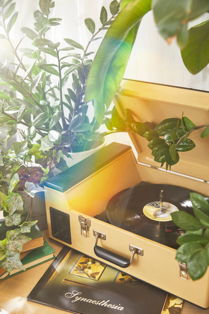 Synaesthesia vinyl record with USB card and 12-inch disc (British brand)