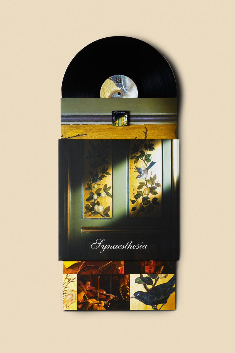 Synaesthesia vinyl record with USB card and 12-inch disc (British brand)
