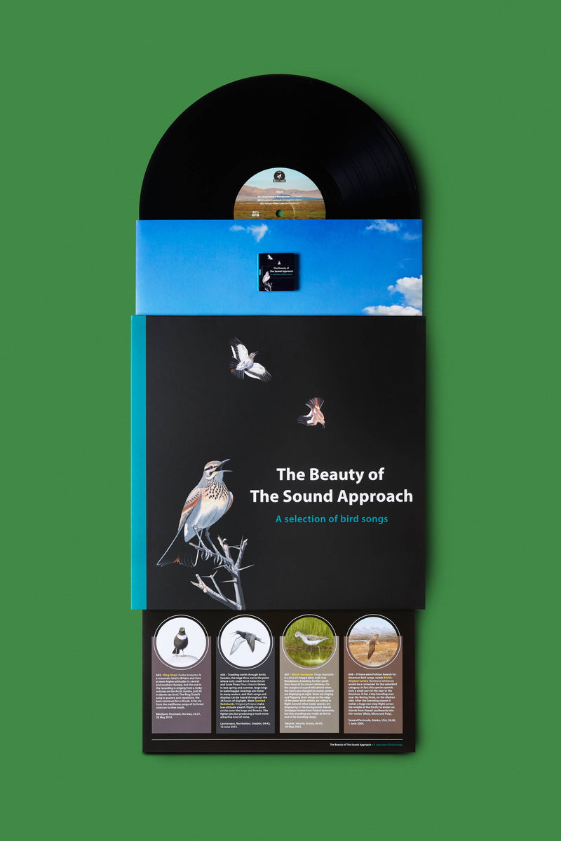 The Sound Approach vinyl record with USB bird recordings - British product