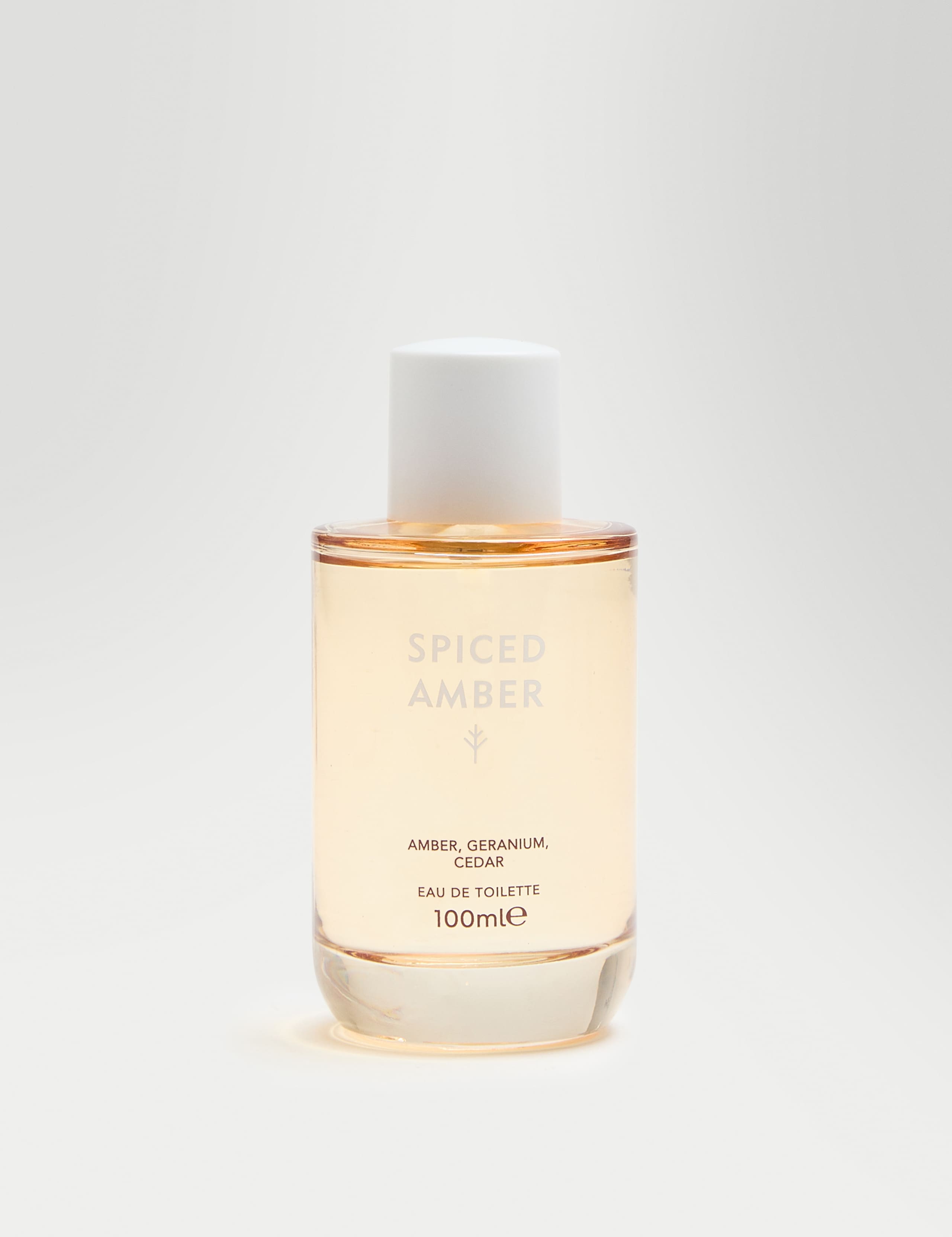 Discover Spiced Amber eau de toilette 100ml - British product