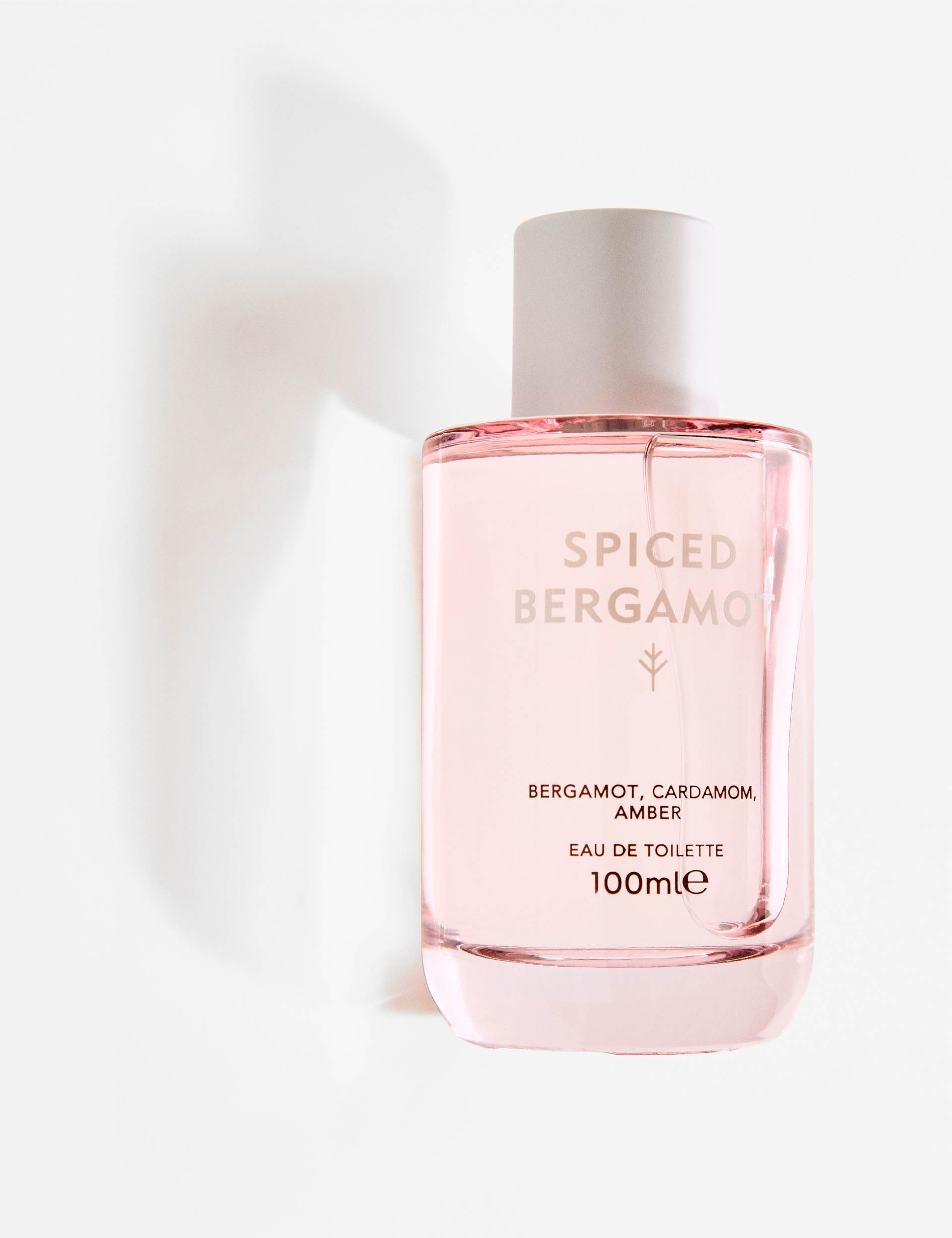 Spiced bergamot eau de toilette 100ml bottle (British brand)