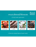 Floral Street Sweet Almond Blossom Eau de Parfum 10ml (British brand)