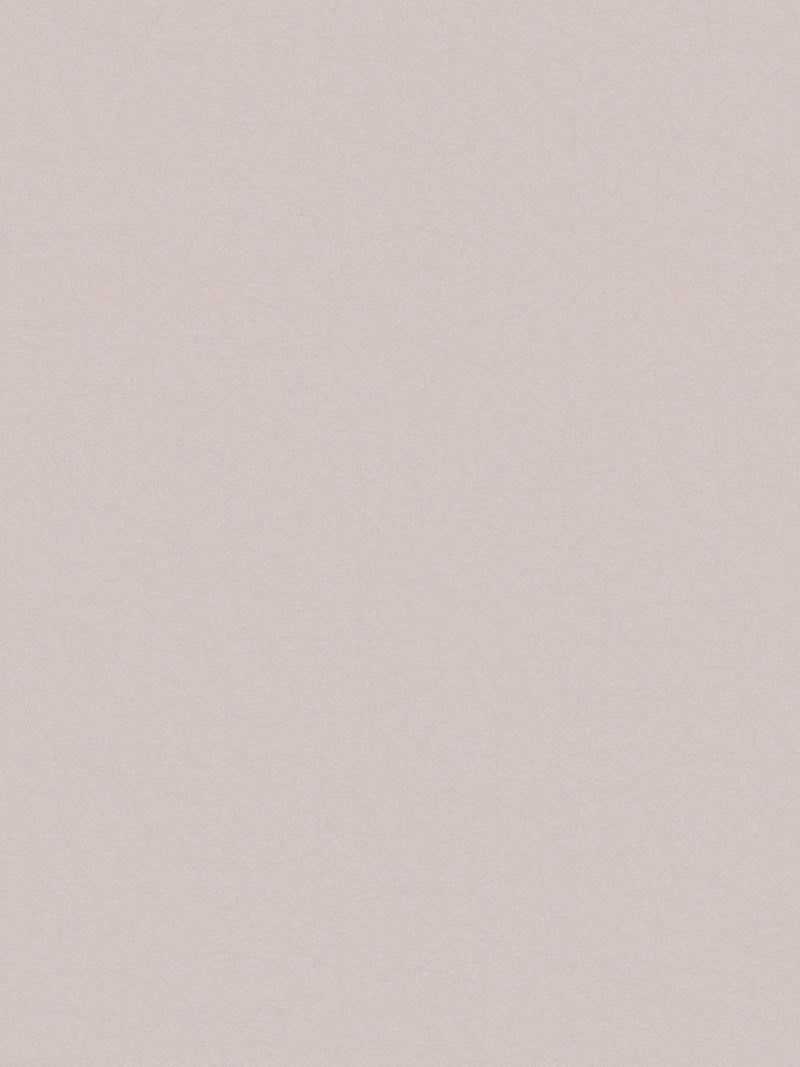Graham & Brown wallpaper sample Pink Lagom, UK version