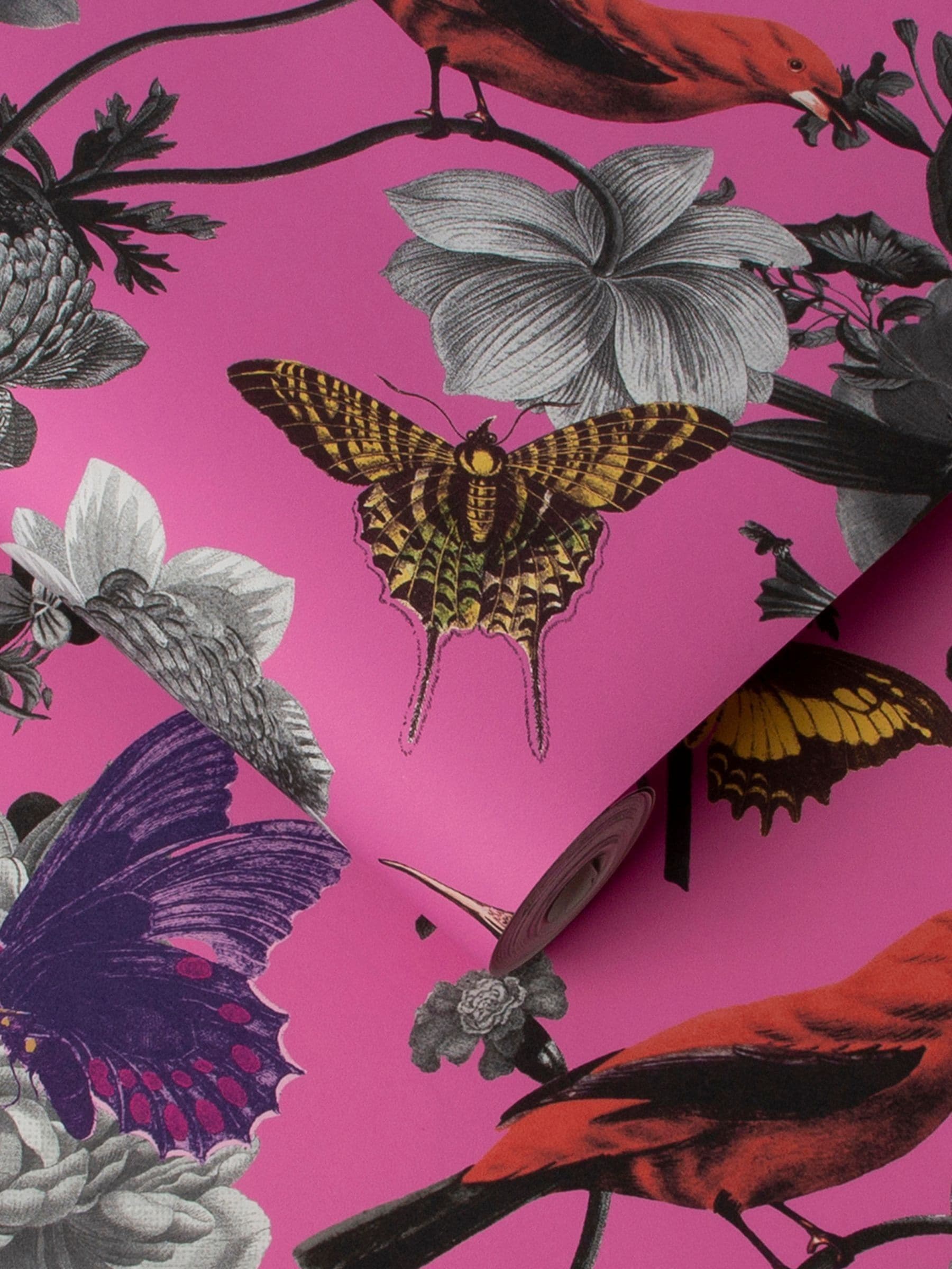 Graham & Brown Pink Jardin wallpaper sample, UK version