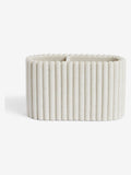 Natural Rib Toothbrush Holder