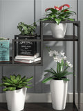 Novogratz green plant stand with metal shelves, imported from the UK