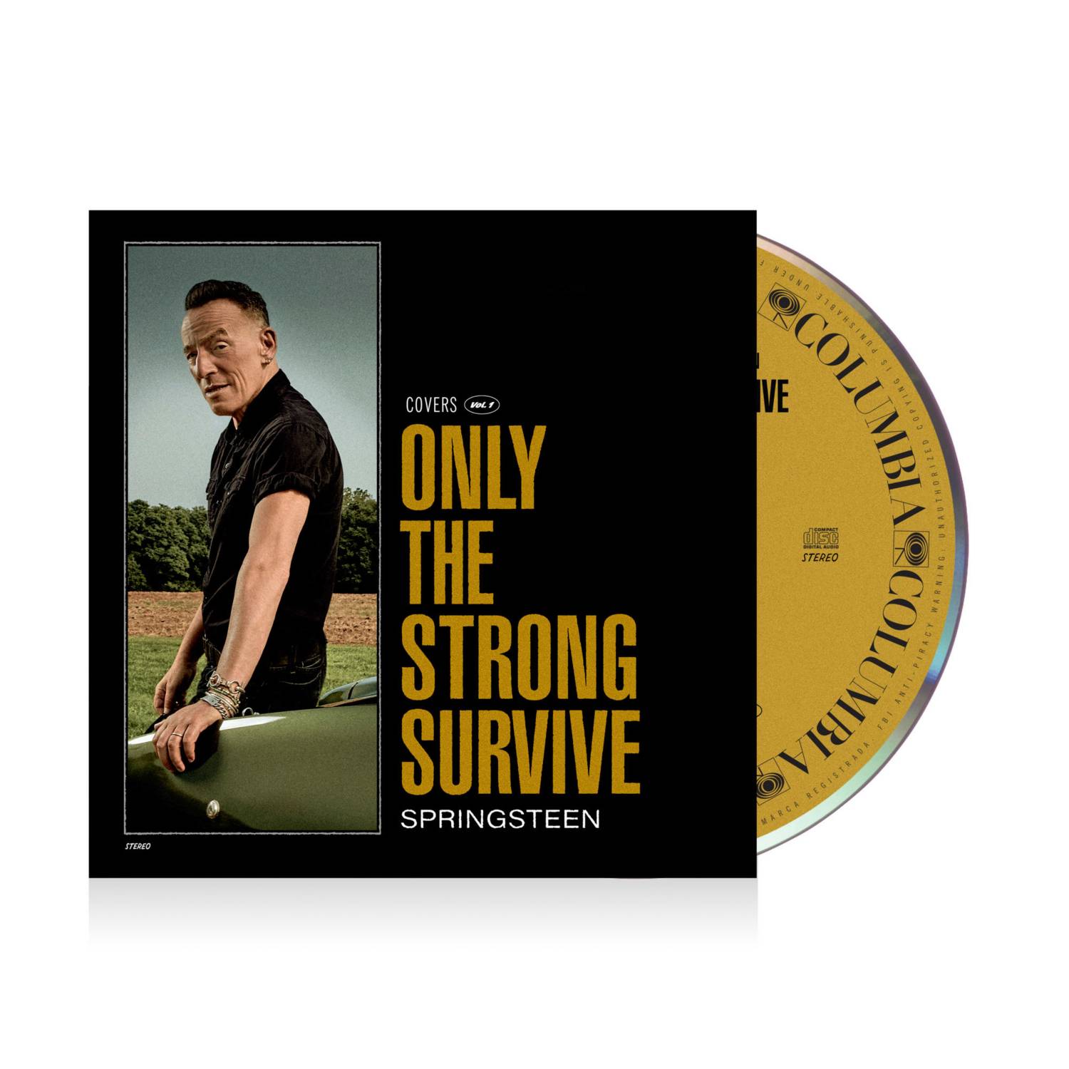 Bruce Springsteen The Strong Survive CD album, imported from the UK
