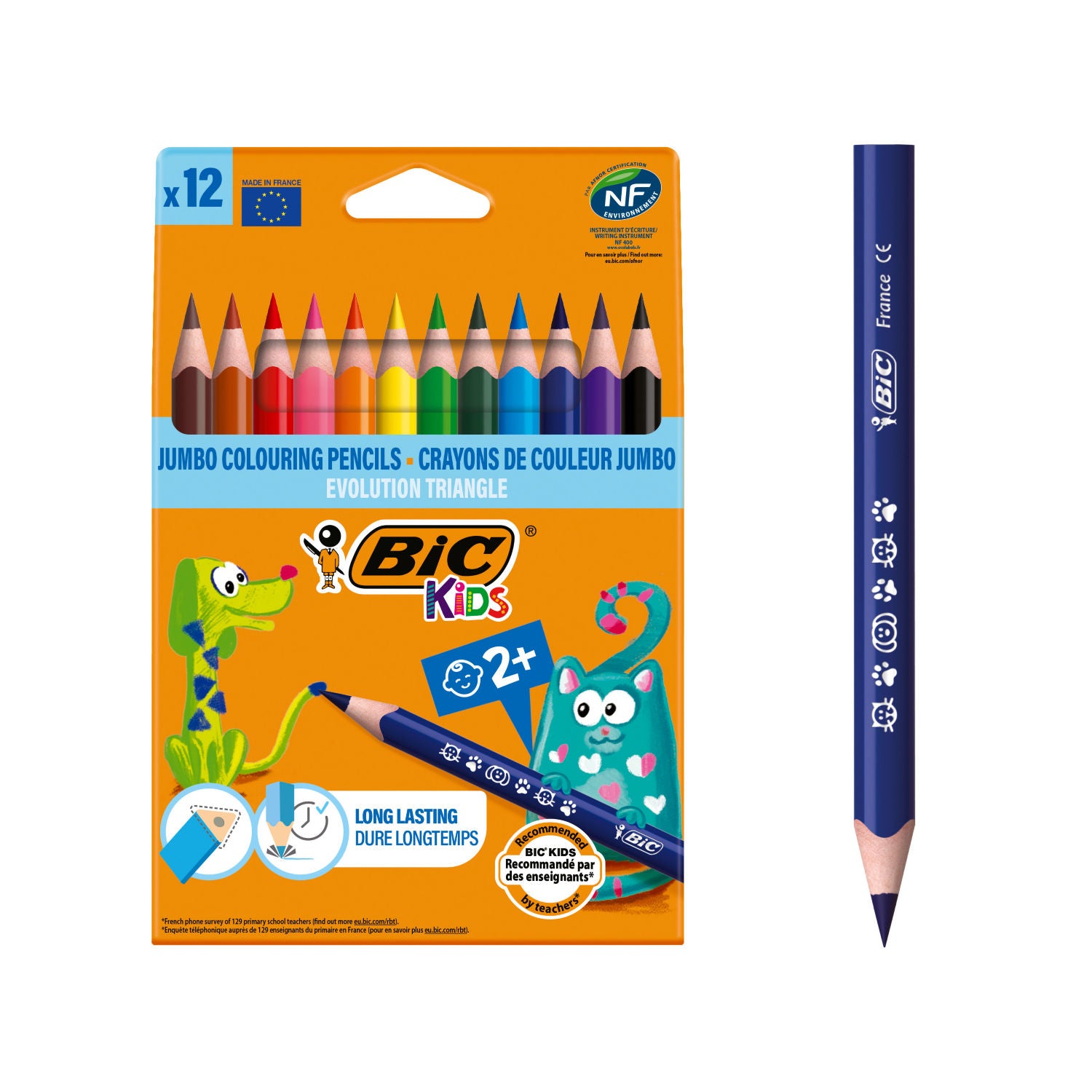 Bic triangle colouring pencils 12 pack (British brand)