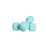 George Home green dumbbell set of 2 4kg (British brand)