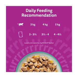 Whiskas Catch of the Day cat food pouches 12 x 85g (British brand)