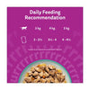Whiskas Catch of the Day cat food pouches 12 x 85g (British brand)