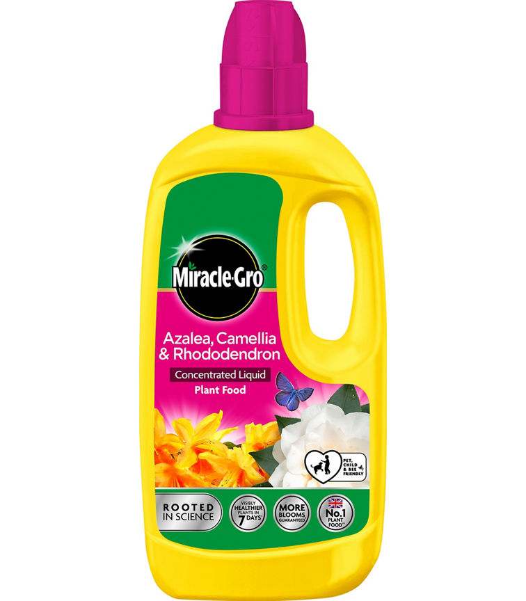 Miracle Gro Azalea, Camellia & Rhododendron Concentrate plant food