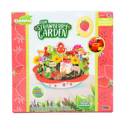 ASDA Creative Sprouts Strawberry Garden Gardening Activity Kit 6.5x28.5x285.5 cm- Buy online at McGrocer