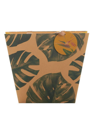 ASDA George Cheese Plant Großer Geschenkkarton - Online bei McGrocer kaufen