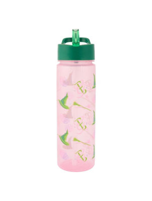 Wicked water bottle 600ml (British brand)
