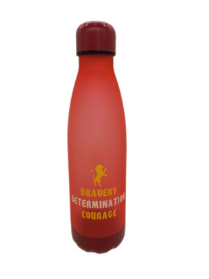 Zak Harry Potter Gryffindor bottle 700ml, imported from the UK