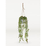 George Home Faux Trailing Eucalyptus artificial plant 54cm, UK version