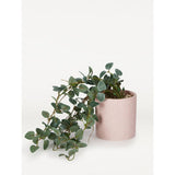 George Home trailing plant ceramic pink pot 48cm, imported from the UK
