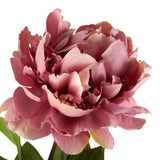 George Home single faux peony stem pink 70cm, UK version