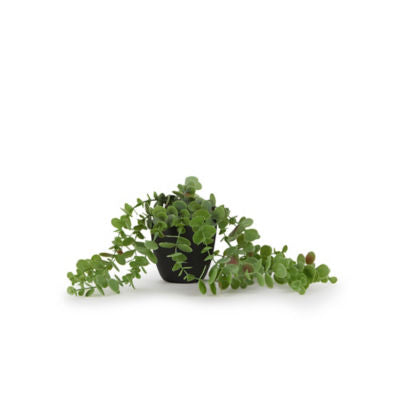 George Home Hengende Kunstig Plante Svart Potte Dekor