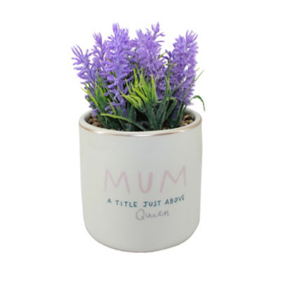 George faux lavender plant Mother's Day, UK version