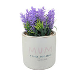 George faux lavender plant Mother's Day, UK version