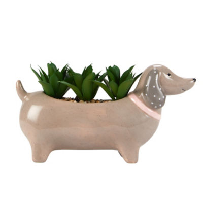 ASDA George Home Sausage Dog Succulent Grey Ceramic Pot Planter 17cm- Buy online at McGrocer