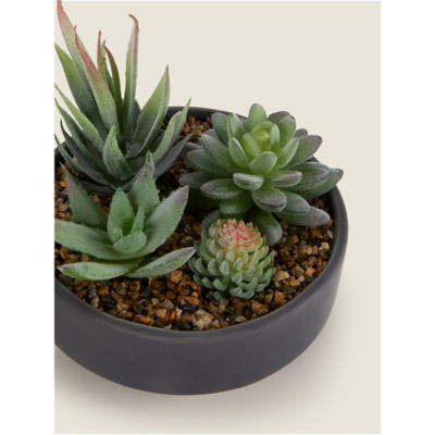 George Home artificial succulents in black bowl, UK version
