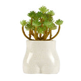George Home faux plant in cream ceramic pot - British product