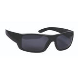 JML PolaOptics HD polarized sunglasses with magnetic clip (British brand)
