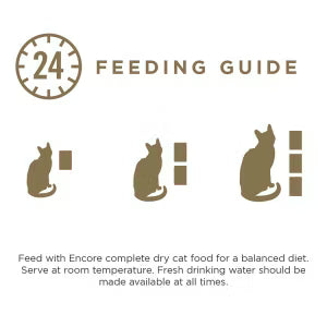 Encore wet cat food chicken selection in jelly 5 x 50g pouches - British product