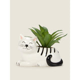 George Home Black & White Cat Artificial Succulent GOODS ASDA   