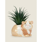 George Home Guinea Pig Artificial Succulent GOODS ASDA   