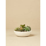 Stacey Solomon white beaded succulent bowl 10x10x18cm - British product