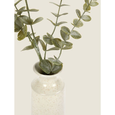 Bouteille Diffuseur Eucalyptus Blanc Moucheté George Home ASDA - Acheter en ligne sur McGrocer