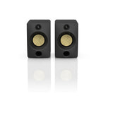 Asda high-power bookshelf speaker with remote (British brand)