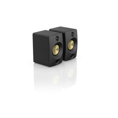 Asda high-power bookshelf speaker with remote (British brand)