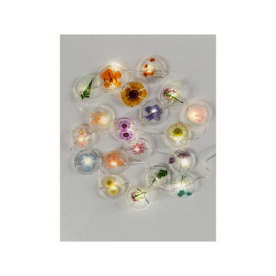 ASDA George Home Guirlande Lumineuse LED Colorée aux Fleurs Sèches 19 Brins 190 cm - Acheter en ligne sur McGrocer